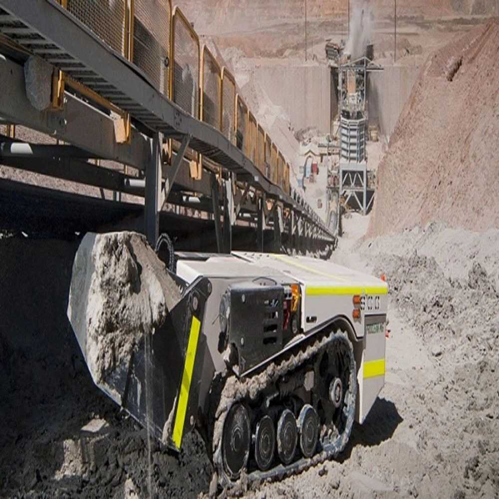 1733309449405.webp