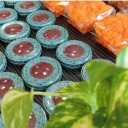 Desert farm, production and sale of barberry saffron and cardamom in Sarayan, South Khorasan