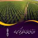Ganjineh Hassanzadeh Nursery, selling all kinds of seedlings in Miandoab