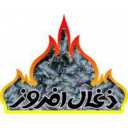 Zaghal Afrooz, wholesale sale and export of multifunctional electric charcoal fryer in Tehran