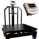 Mazand Scale, sale of scale and store equipment in Mazandaran