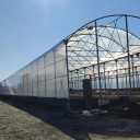 Gol Afrooz Successful Paliz Co., Greenhouse construction in Tehran