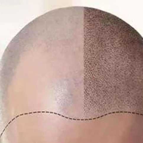 1738646682498.webp
