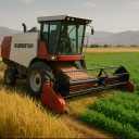 Dear Agha, Buying and Selling Rice Caenten Service to Chickpea in Kurdistan