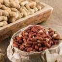 Taha Nuts, Production and Sales of Almonds in Islamshahr, Tehran