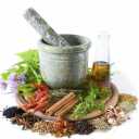 Shahranoush, supply and distribution of medicinal plants in Shiraz
