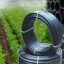 Bardia Polymer Khorram, Production of drip irrigation strips in Zanjan