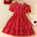 Shell Apparel, Sale of Men's Dresses for Women's T -Shirts Pants in Urmia