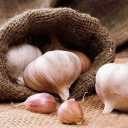 Rafi Khani Trading, Wholesale Sales and Exports of Potato and Garlic in Hamadan