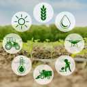 Army Fam, Humic Acid and Organic Fertilizer in Tehran