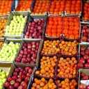 Hamid Reza Pirian Barry, Dates and Imported and Internal Fruits in Hamadan