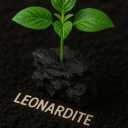 Afshar production, extraction and sale of Leonardite in Khorasan Razavi