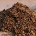 Shahdad Easy Correcting Company, Palm Pete soil production and sale in Kerman