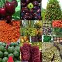 Supply of Creator goods, export of beans and automotive parts in Lotfabad