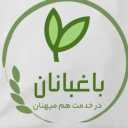 Gardener cultivation, olive products and pickles in Zanjan