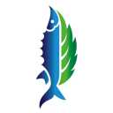 Fish Campus, Sales and Sale of Shrimp and Caviar in Anzali