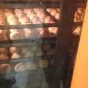 Sabouri Modern Machinery Manufacturing, manufacturing and repair of bread and pastry baking machines in Karaj