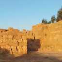 Qom inputs, buying and selling of agricultural and livestock inputs