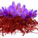 Nignan Saffron, production and sale of barberry and saffron in Qain