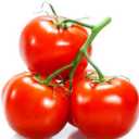 Khamsa agricultural services, sale of all kinds of fruit and summer seeds in Qazvin