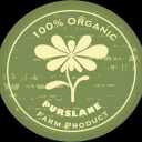 Purslane store, production and sale of all kinds of pickles, salt, jams and homemade pastes in Esfarayen