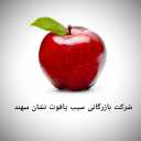 Yaqut Nishan Sahand apple trading, major export of apples in Maragheh, East Azerbaijan