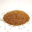 Nagin Bazar Jam company, selling alfalfa seeds in Mashhad