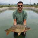 Falahati fish shop, buying and selling all kinds of carp and amur fish in Isfahan