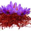 Bedakht saffron, production and sale of original saffron in Gonabad