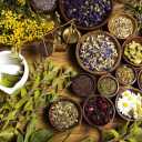 Taheri Trading, wholesale purchase and sale of medicinal plants in Shiraz