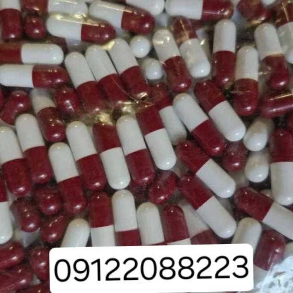 1770616101074.webp