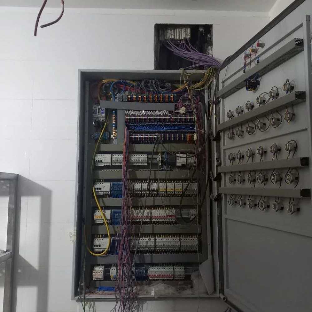 1775366268921.webp