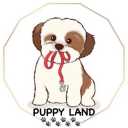 Poppyland pet shop and boarding house, maintenance and grooming of apartment dogs in Karaj