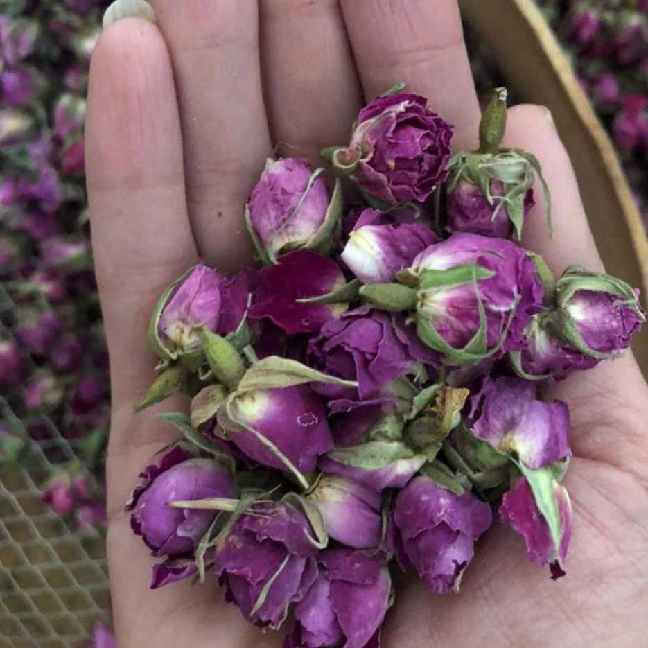 Export of flower buds to Iraq