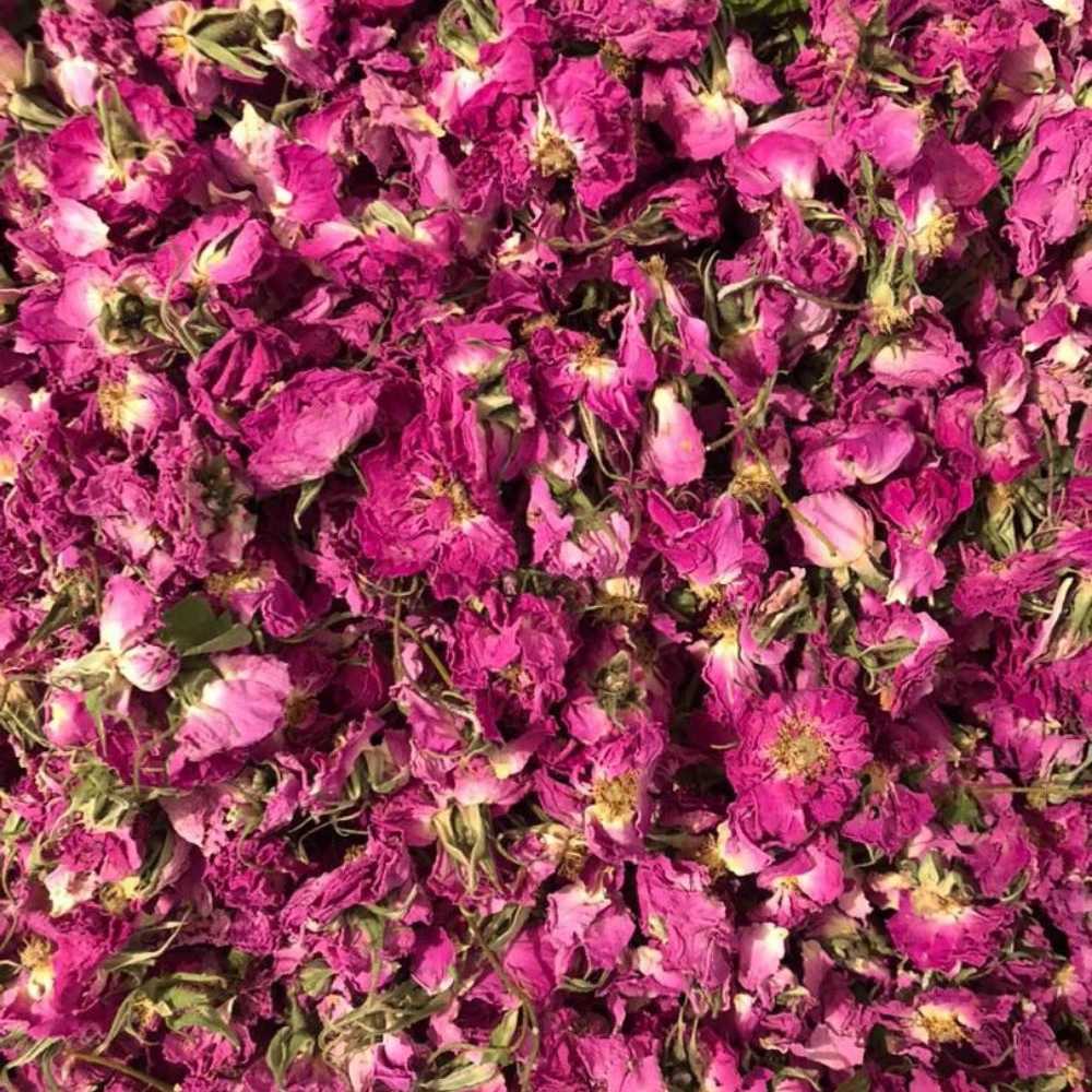 Sale of open flowers with excellent quality and reasonable price