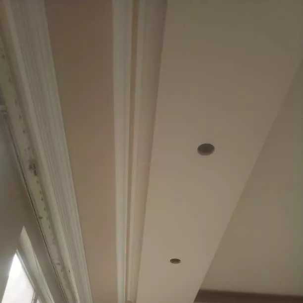1687939191501.webp