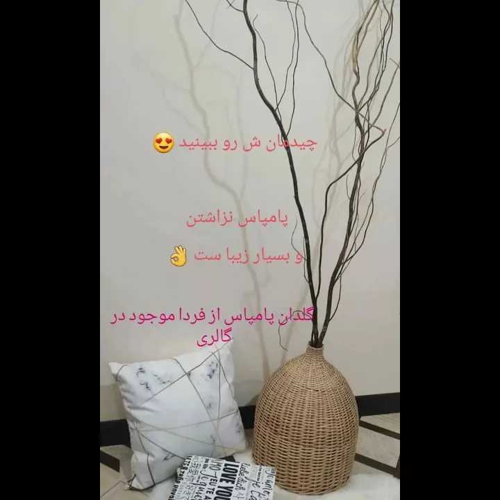 1691044150891.webp