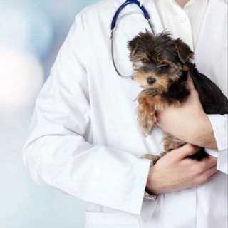 1694338643562.webp