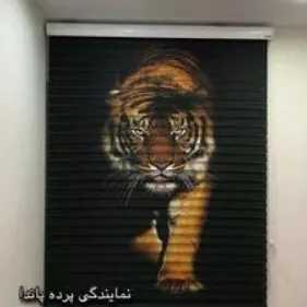 1695450032394.webp