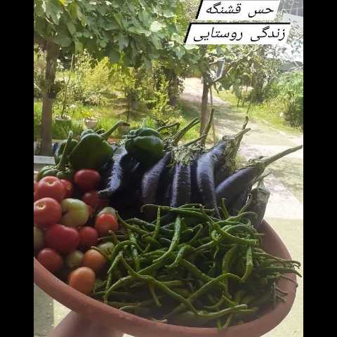 1697263914236.webp