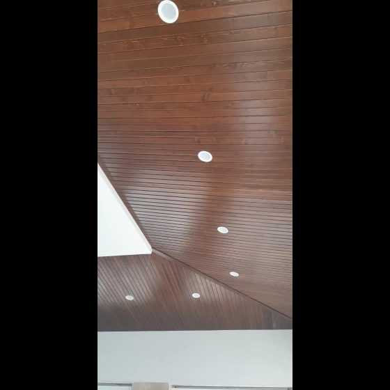 1697523025729.webp