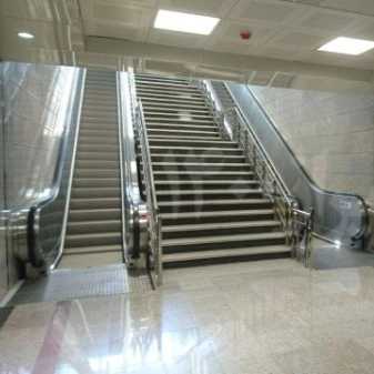 1701603679894.webp