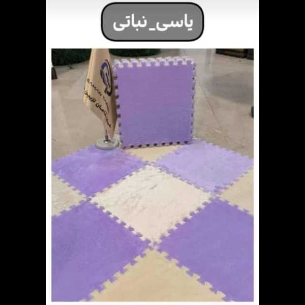 1703333663461.webp