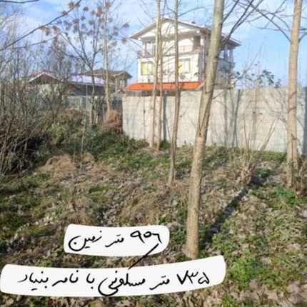 1707822535190.webp