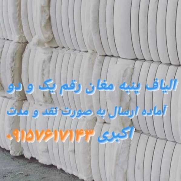 1708773641438.webp