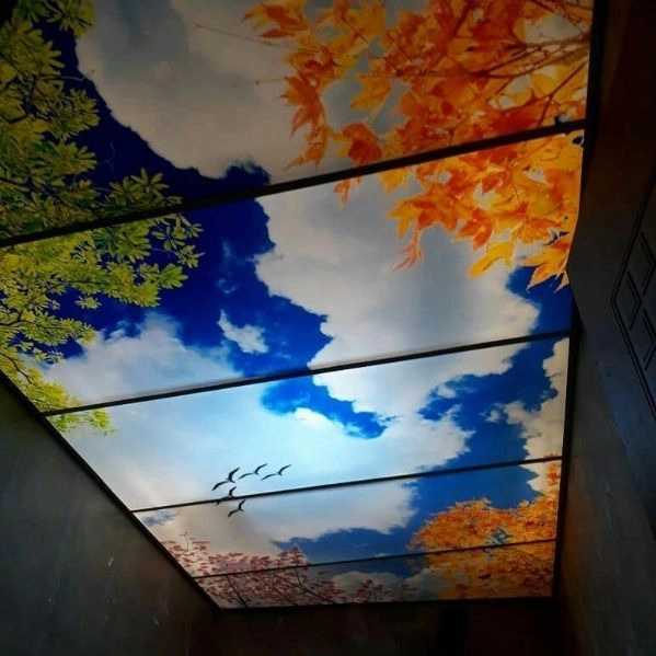 1710068285404.webp