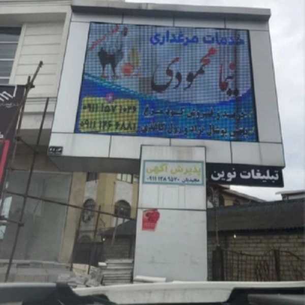 1711789912789.webp