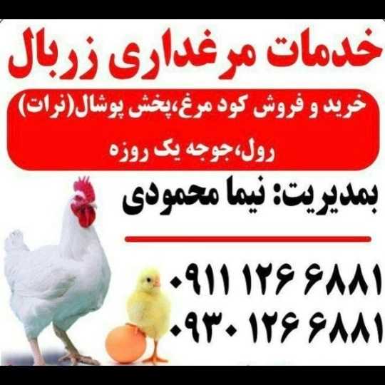 1711789925843.webp
