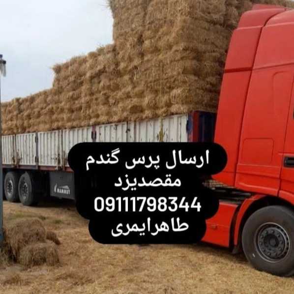 1712997943187.webp