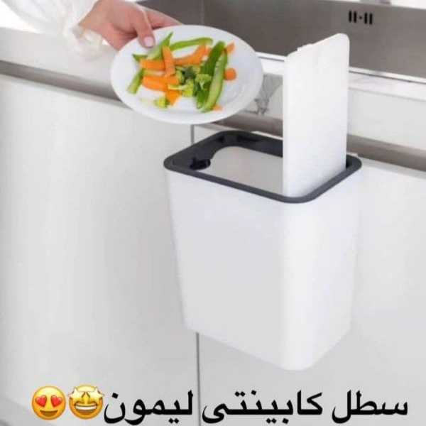 1713174815509.webp